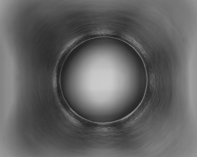 X0000113310629200909141312