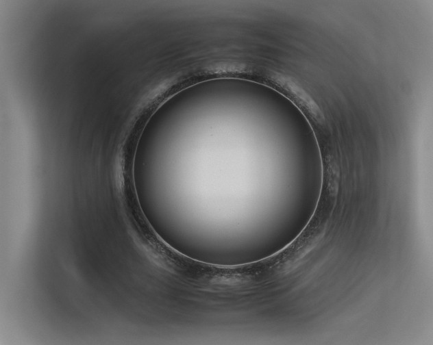 X0000113310631200909141312