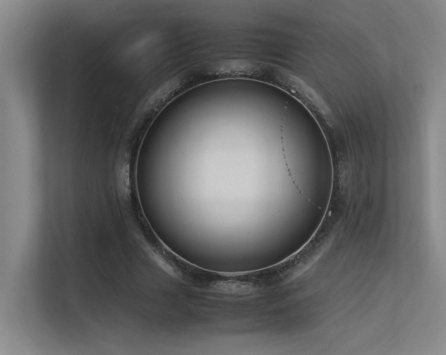 X0000113310633200909141312