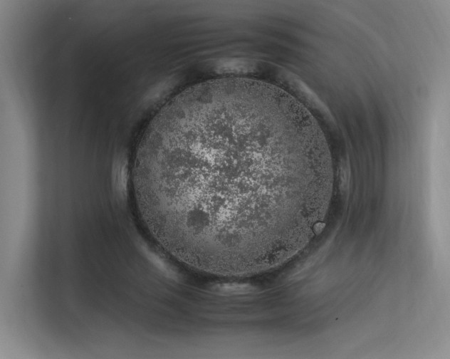 X0000113310637200909141312