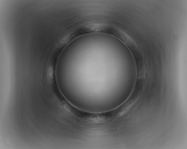 X0000113310646200909141312