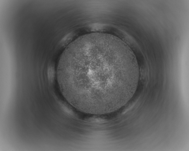 X0000113310648200909141313