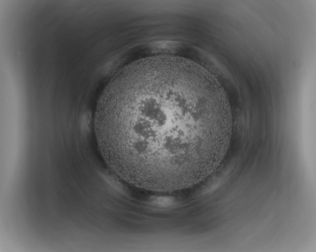 X0000113310649200909141313