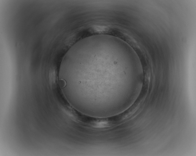 X0000113310651200909141313