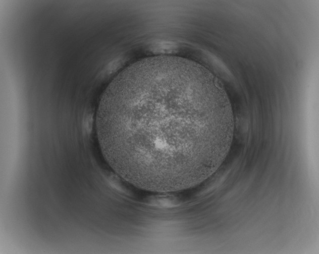 X0000113310652200909141313