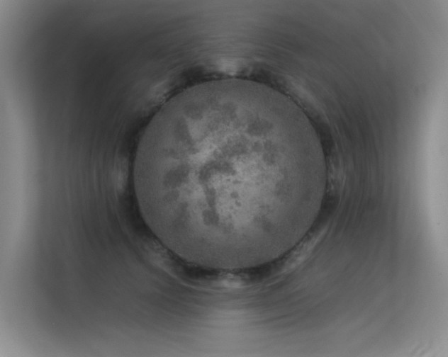 X0000113310656200909141313