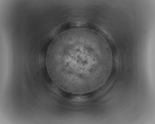 X0000113310657200909141313