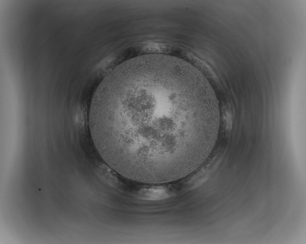 X0000113310665200909141313