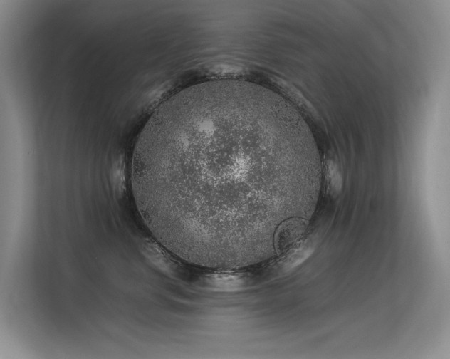 X0000113310668200909141313