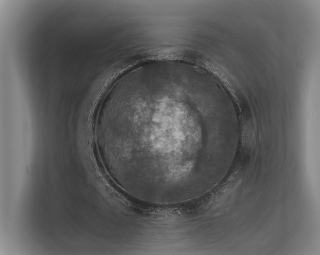 X0000113310673200909141312