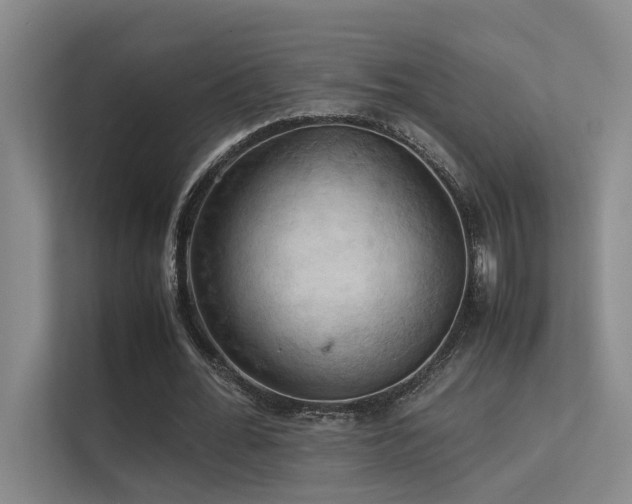 X0000113310676200909141312