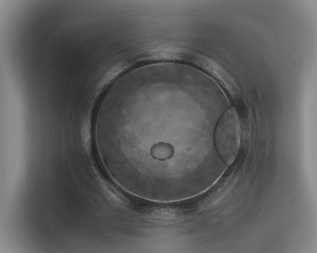 X0000113310677200909141312