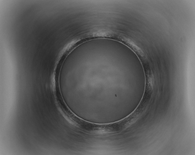 X0000113310678200909141312