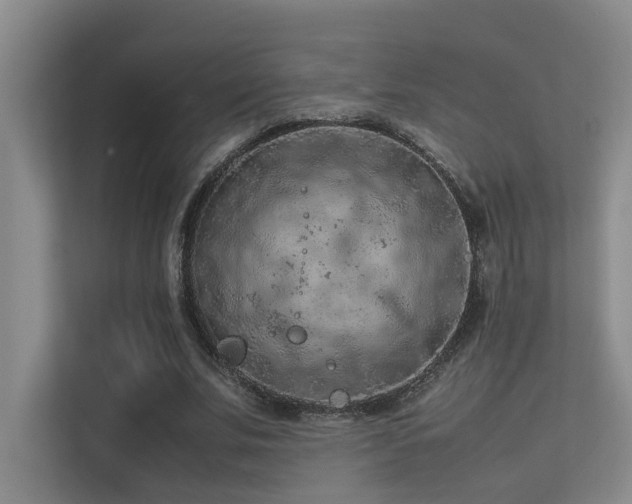 X0000113310679200909141312