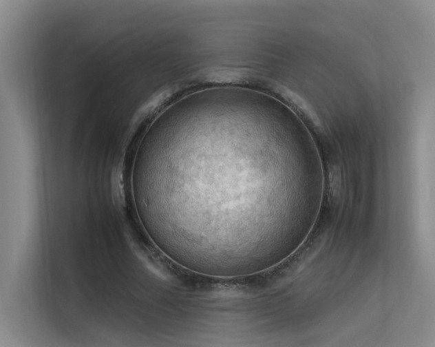 X0000113310682200909141312