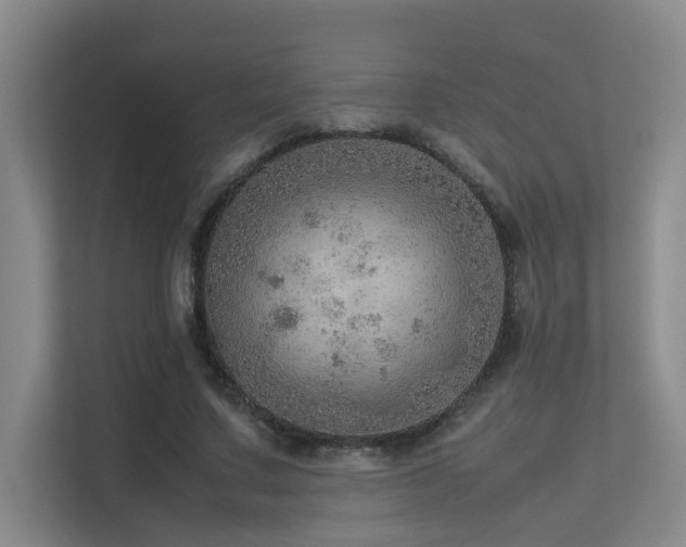 X0000113310683200909141312