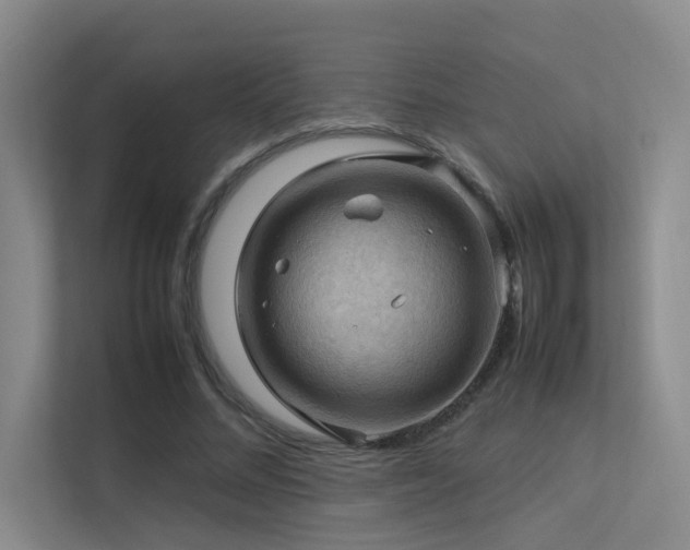 X0000113310684200909141312