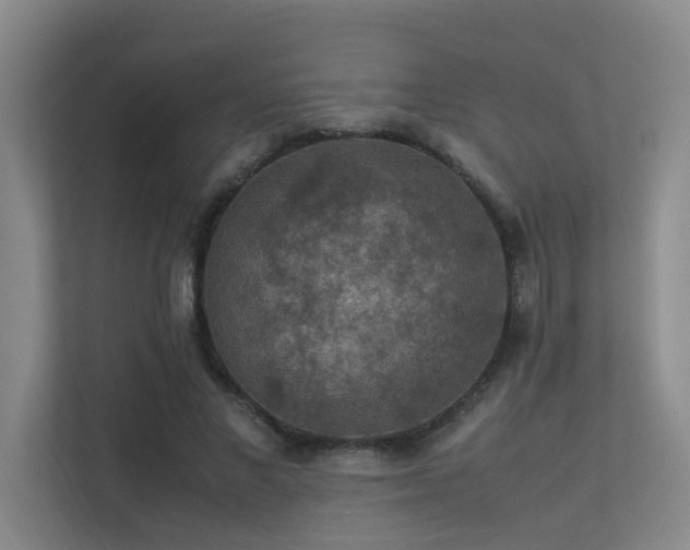 X0000113310685200909141312