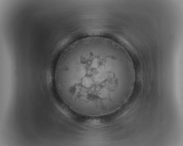 X0000113310687200909141312