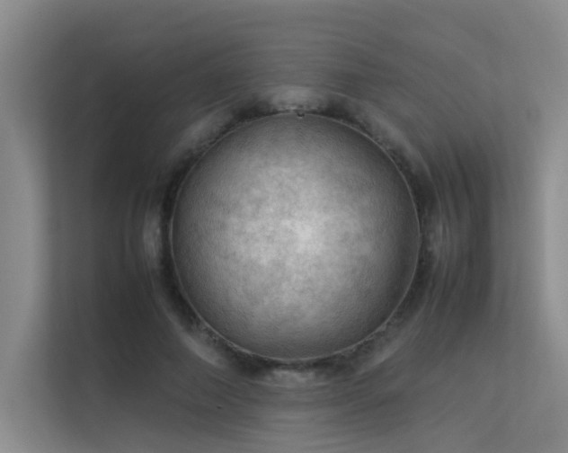 X0000113310690200909141312