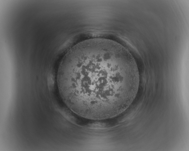 X0000113310691200909141312