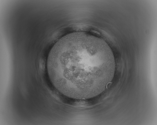 X0000113310695200909141312