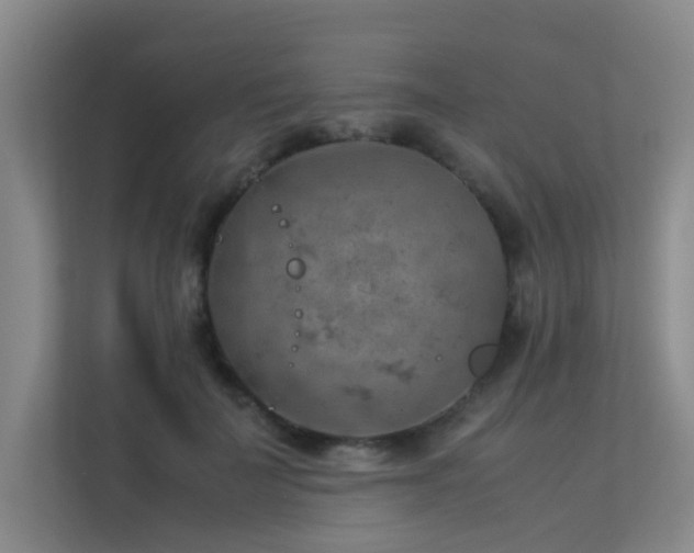 X0000113310699200909141312