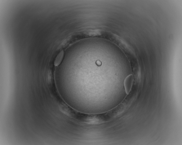 X0000113310704200909141312