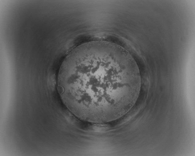 X0000113310707200909141312