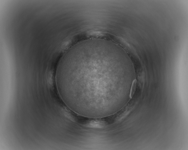 X0000113310708200909141312