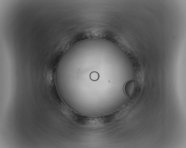 X0000113310709200909141312