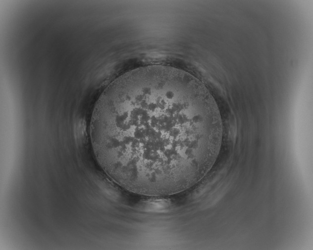 X0000113310711200909141312