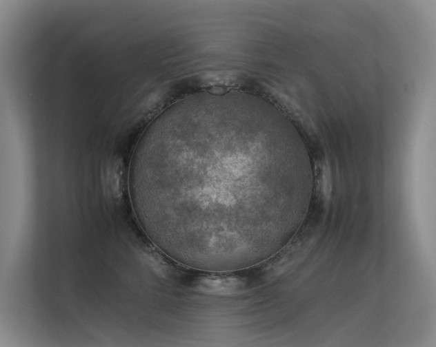 X0000113310712200909141312