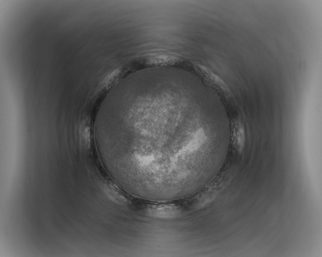 X0000113310716200909141312