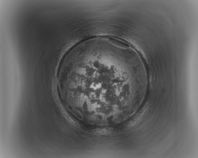 X0000113310721200909141311