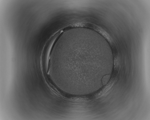 X0000113310722200909141311