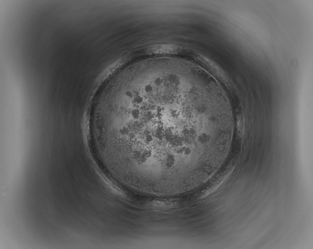 X0000113310725200909141311