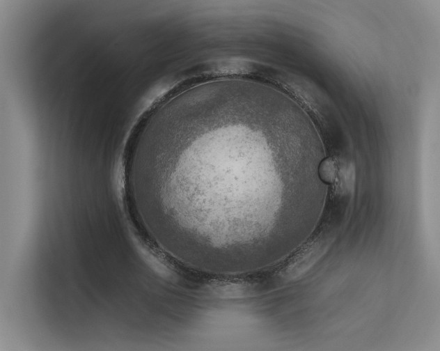 X0000113310726200909141311