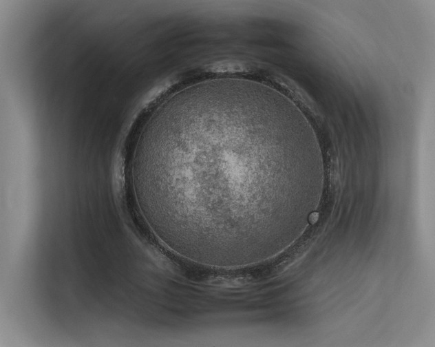 X0000113310727200909141311