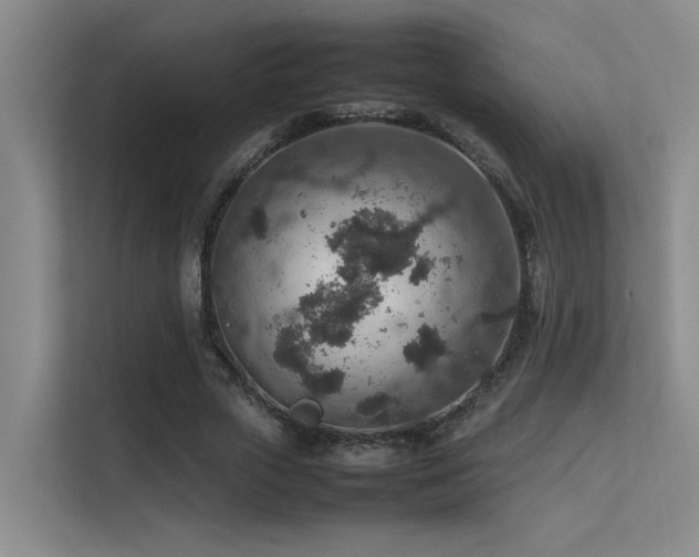 X0000113310729200909141311