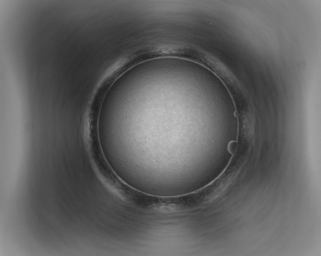 X0000113310730200909141311