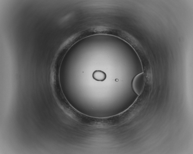 X0000113310732200909141311