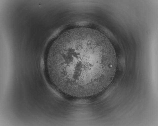 X0000113310734200909141311