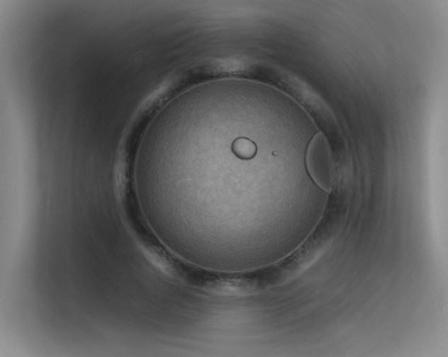 X0000113310736200909141311