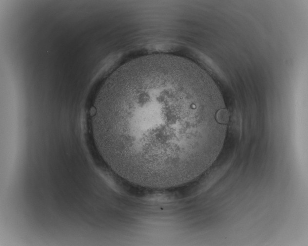 X0000113310738200909141311