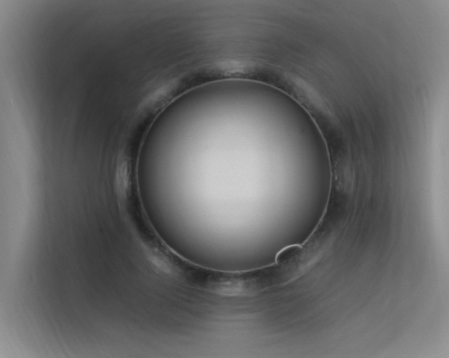 X0000113310740200909141311