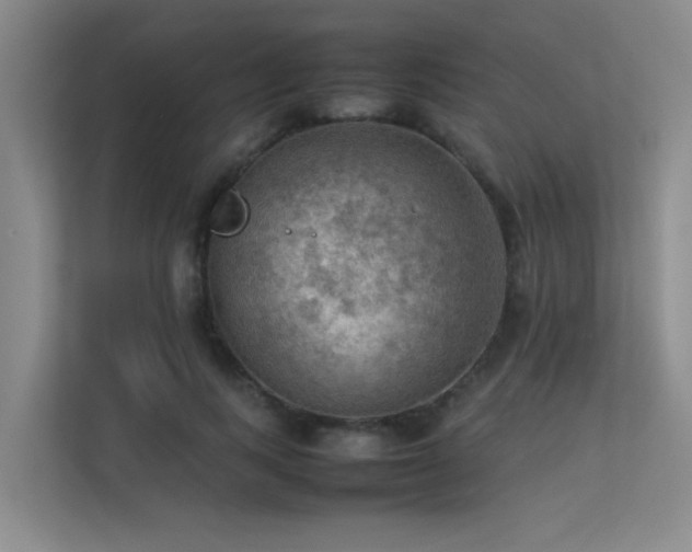 X0000113310743200909141311