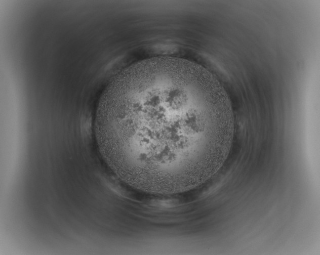 X0000113310745200909141311