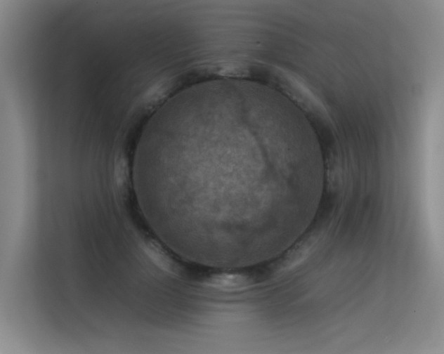 X0000113310748200909141311