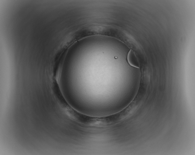 X0000113310750200909141311